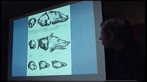 Переломный период в развитии человеческой культуры. Палеоантрополог Александр Белов