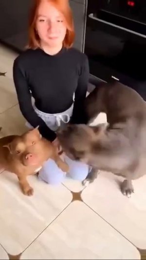 Пока собаки научаться лаять, Настя поправится на 20 кг