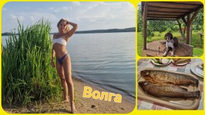 Деревенские выходные на Волге. Копчёная рыба на костре к ужину )