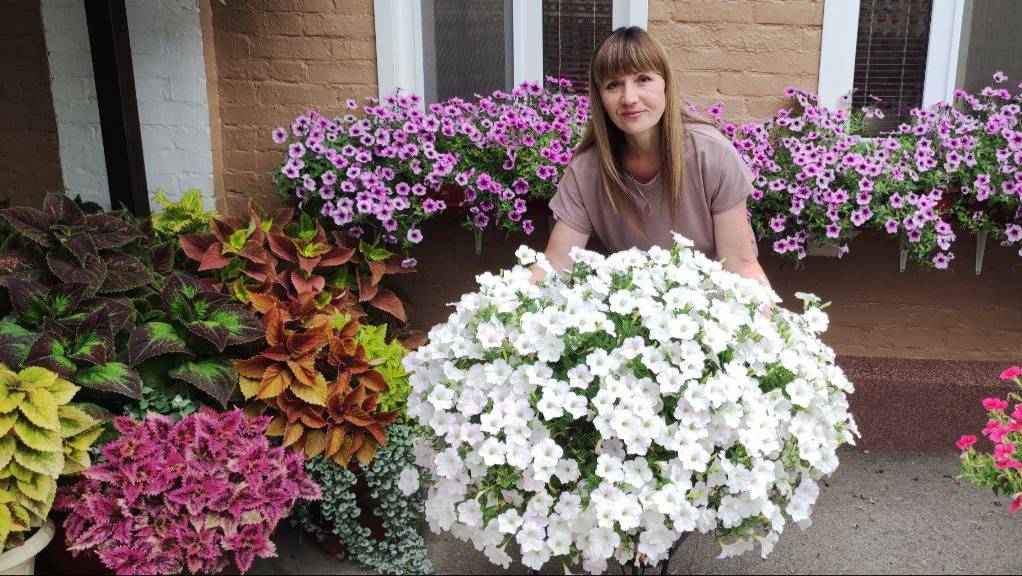 Обзор цветущего дворика на начало августа. Еще поцветем ни смотря ни на что . смотреть онлайн