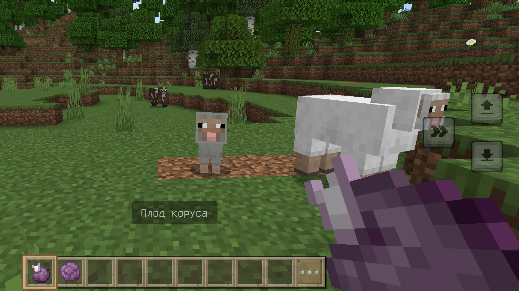 нуб против про 1 серия смотреть онлайн