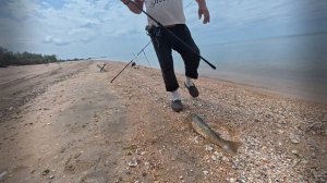 Рыбалка на пеленгаса 2025