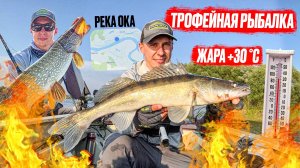ОКА И ТРОФЕЙНАЯ РЫБАЛКА В ЖАРУ!!!