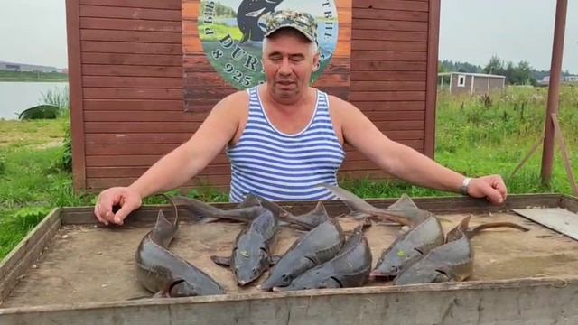 WhatsApp Video 2025-08-04 at 11.41.30 смотреть онлайн