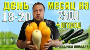 Месяц 2500 рублей на еду + огород. День 18-20.
