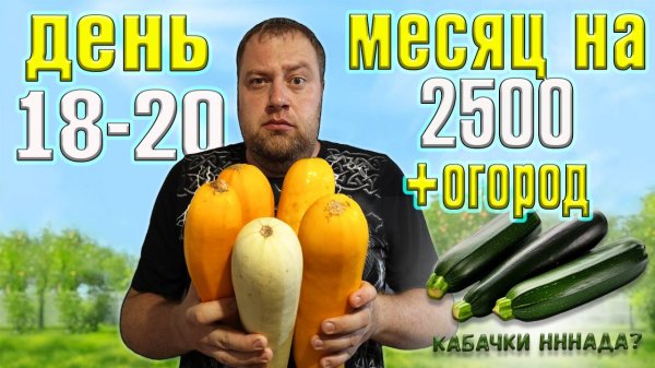 Месяц 2500 рублей на еду + огород. День 18-20.
