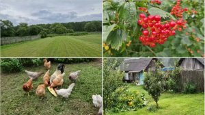 ВЫКОСИЛИ ВСЁ ЧТО МОЖНО И ХВАТИТ НА СЕГОДНЯ.