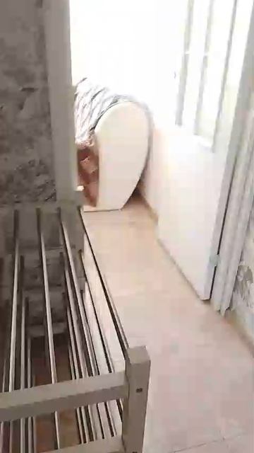 Россия, М.О. ЖК Пригород Лесное, Литературный бульвар дом 4