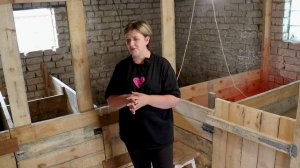 НАШИ СВИНЬИ. От нуля до забоя. Опорос свиноматки.