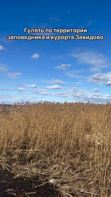 Будем рады видеть вас в уютном пространстве в дали от городской суеты!