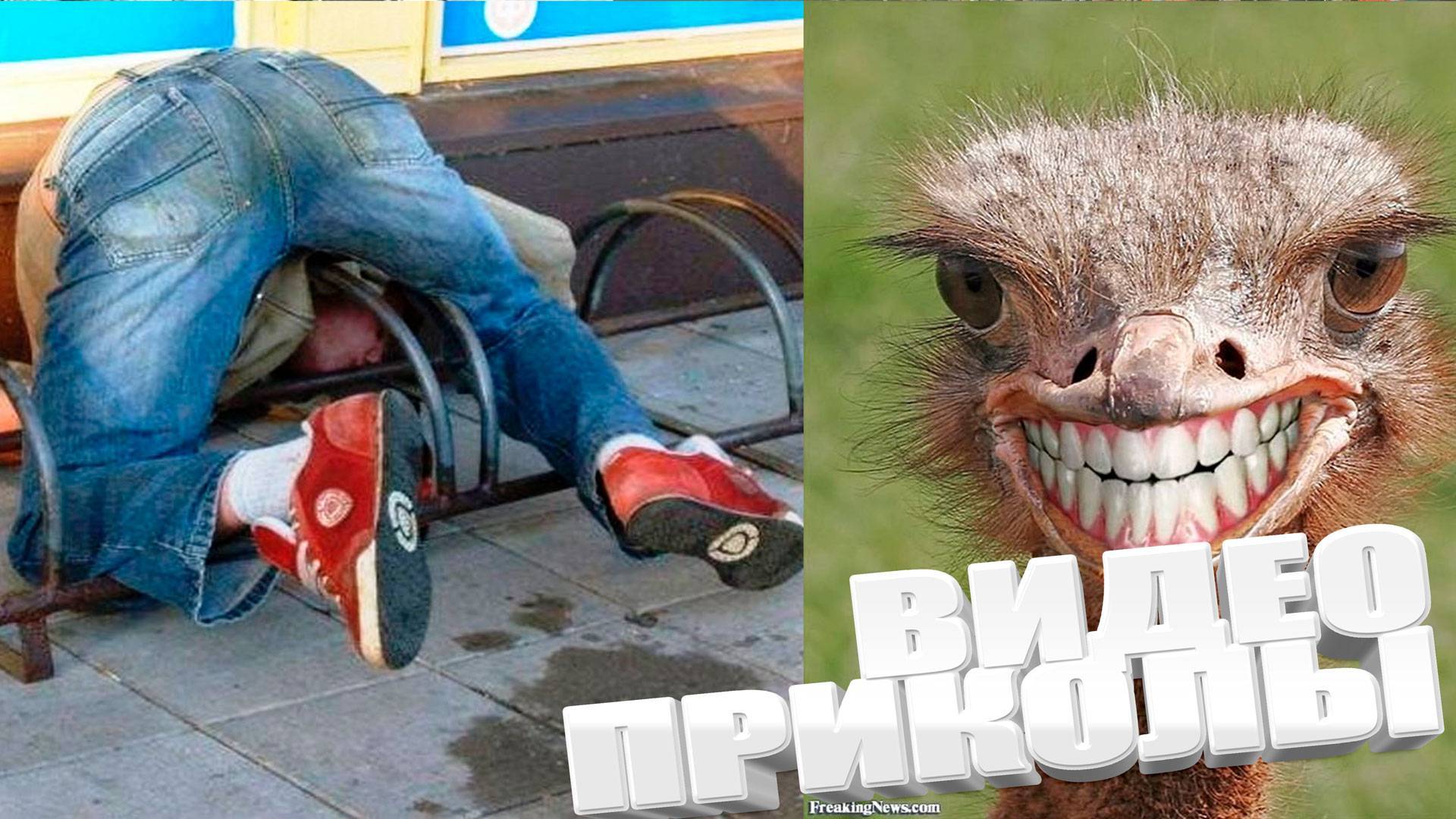 КРУТЫЕ ПРИКОЛЫ 2025 \ НОВЫЕ ПРИКОЛЫ \ СМЕШНЫЕ ПРИКОЛЫ 2025 смотреть онлайн