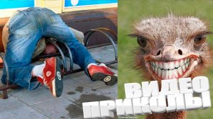 КРУТЫЕ ПРИКОЛЫ 2025 \ НОВЫЕ ПРИКОЛЫ \ СМЕШНЫЕ ПРИКОЛЫ 2025