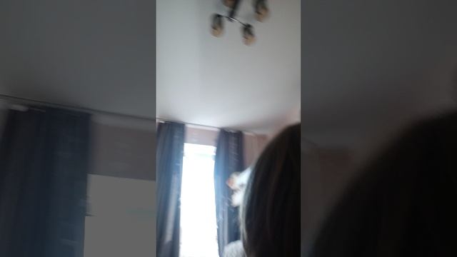 делаю Милке кровать 1 часть смотреть онлайн