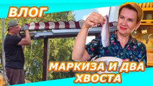 ДАЕШЬ КРЫШУ НАД ГОЛОВОЙ | УСТАНОВКА МАРКИЗЫ НА ДАЧЕ | РЫБА - ЧИСТОЕ ЗДОРОВЬЕ!