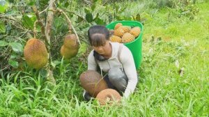 Трудолюбивая Хуонг, сбор мини ананасов и джекфрутов, Продажа на местном рынке.