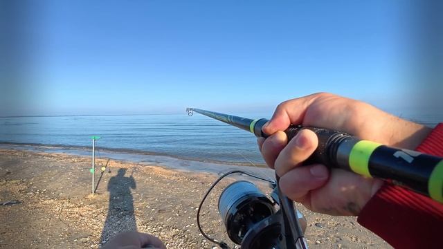 Попапали на дикий жор пеленгаса июль 2025