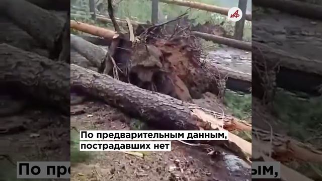 Чудом спаслись! Мощный ураган накрыл палаточный лагерь в Пермском крае смотреть онлайн