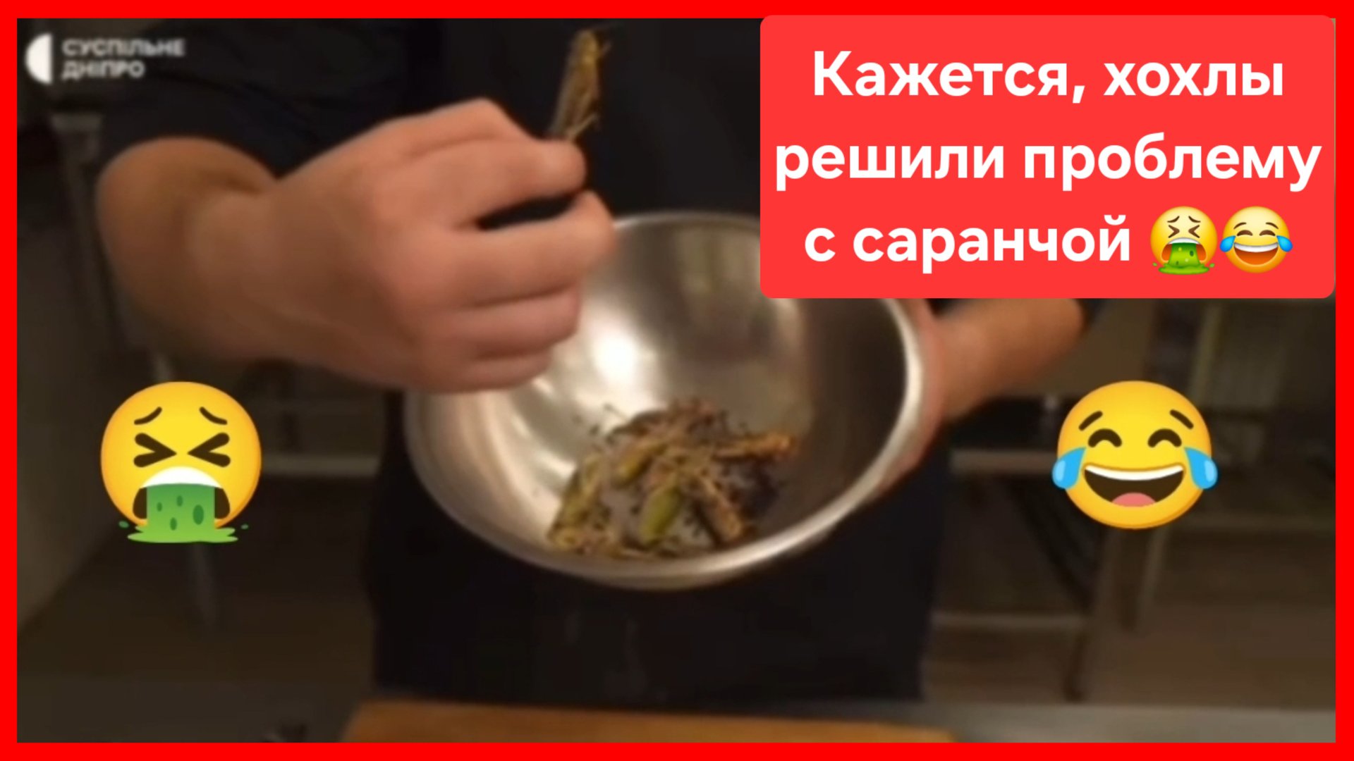 Похоже, хохлы решили проблему с саранчой 😁🤮 смотреть онлайн