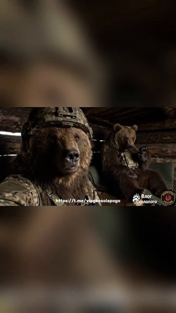 Косолапый 9 смотреть онлайн