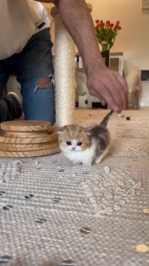 Доброе утро