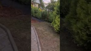 Маленькая дача