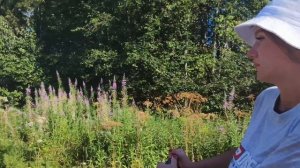 Гостей проводили,в деревню съездили,обои поклеили.