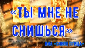 Музыка и ВИА Синяя птица Ты мне не снишься 1976