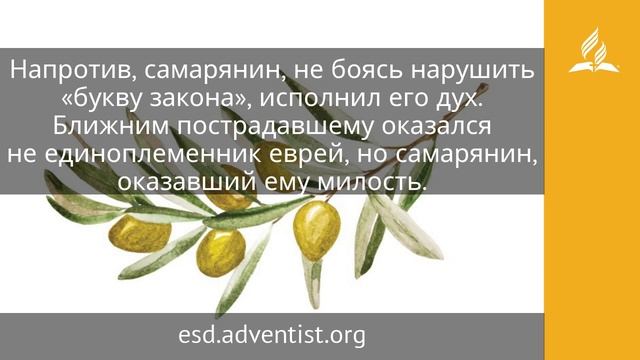 5 августа 2025. Дух и буква. Под сенью благодати _ Адвентисты (1)