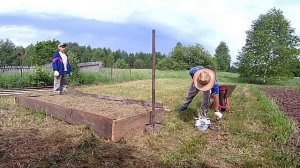 Добавили грядок. Кошка в деревне.