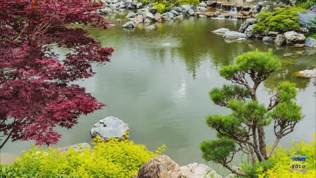 Прогулка по японскому саду...