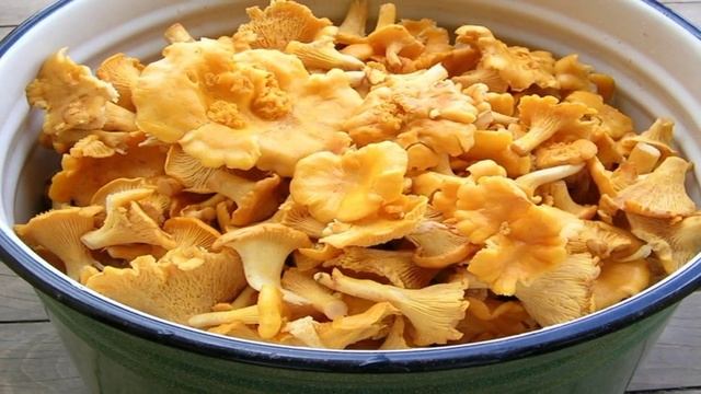 Готовим дома