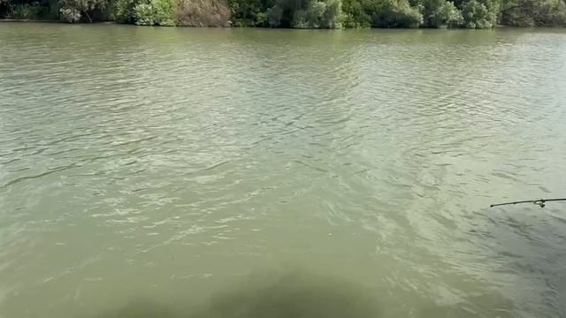 Рыбалка на кубани. Хотим поймать САЗАНА смотреть онлайн