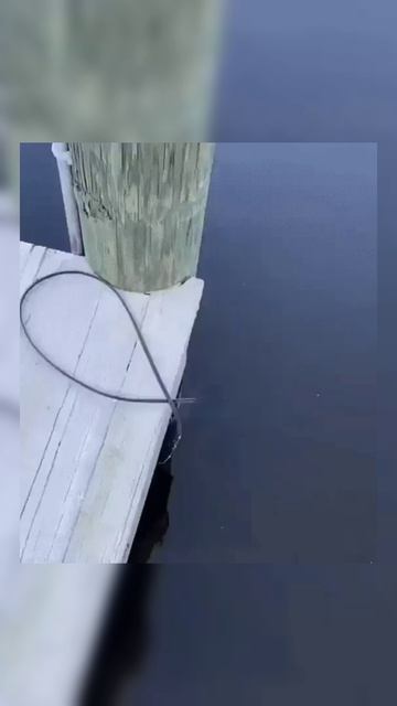 Милашка смотреть онлайн