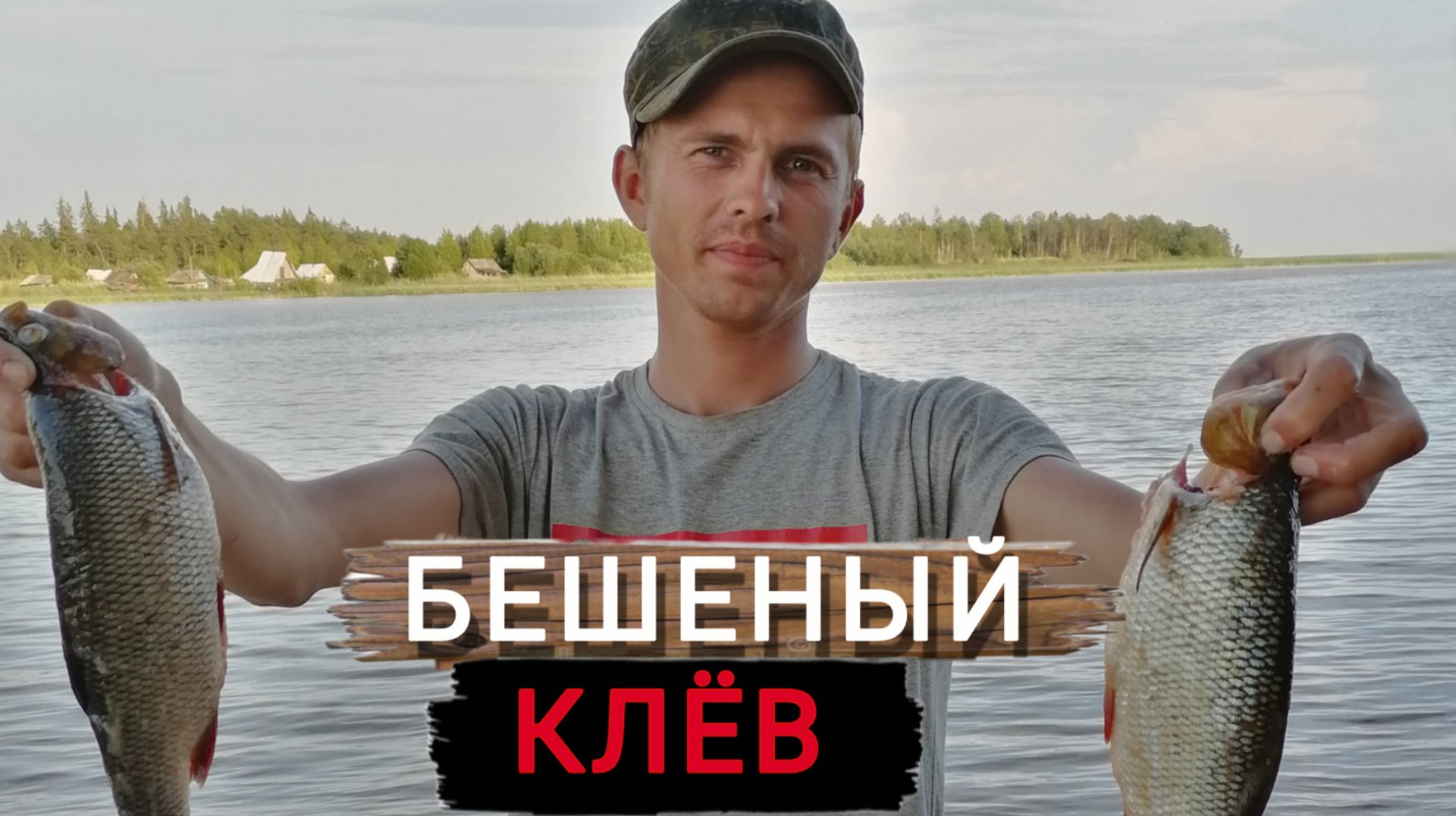 Донка на крупного язя и окуня.Рыбалка на реке Свидь. смотреть онлайн