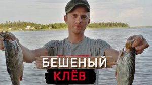 Донка на крупного язя и окуня.Рыбалка на реке Свидь.