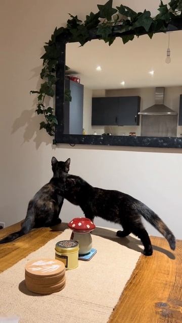 Не надо друг, остановись.