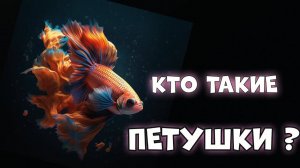 Кто такие аквариумные рыбки - ПЕТУШКИ？