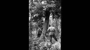 Перевал Дятлова. Лыжи у ручья