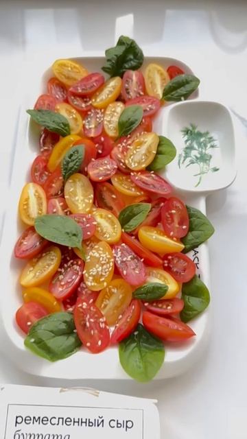 Ольга Антанович