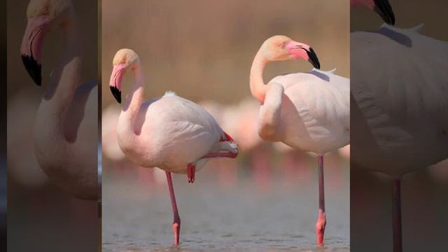 Это интересно-48