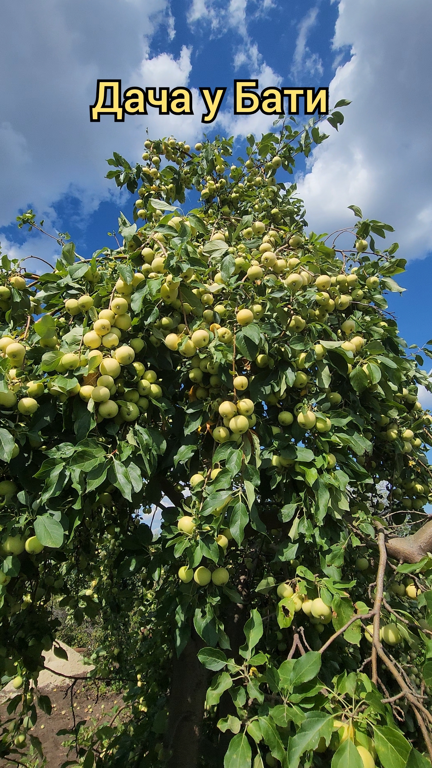 Дача у Бати смотреть онлайн