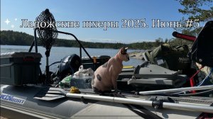 Ладожские шхеры 2025. Июнь #5