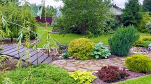 Барбарис карликовый Багателле / ива Хакуро Нишики / орех Конкорта / вейгела пурпуреа нана и др.