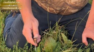 Пять штучных ножей от мастера Антона Предеина