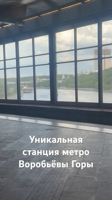 Воробьёвы горы #москва #прогулка #путешествие #путешествия