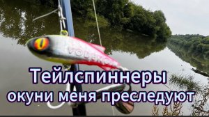 Тейлспиннеры и вертушки. Пробую поймать жереха