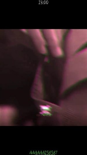 Сапёк игра в кальмара