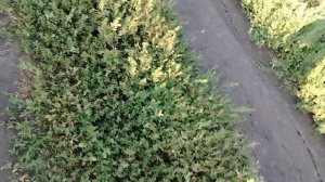 Место там где я чуть ли не разбился на скутере вместе с другом