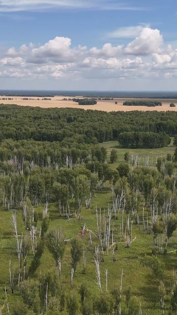 Деревни которых нет… Подволошная (XIII век - 1958 год)