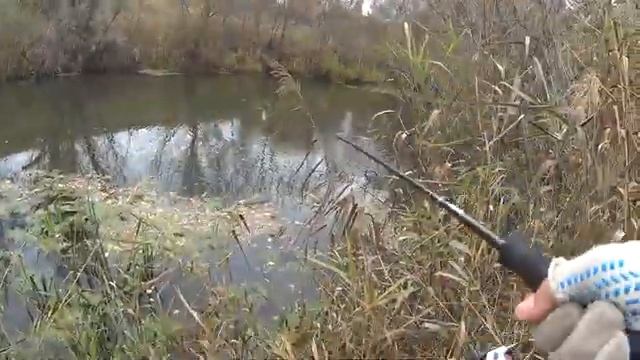 Рыбалка на спиннинг смотреть онлайн